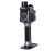 Cygnus4.png